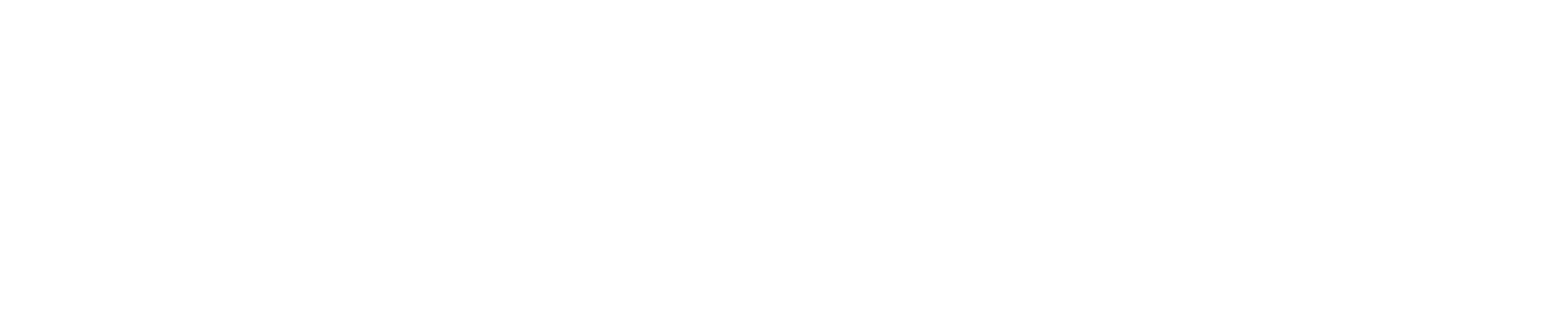 One2Treat footer logo